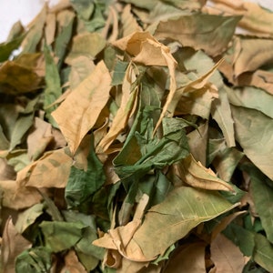 Jamaica Dried Neem leaves 1oz