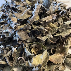Dried Jamaican Mountain Sage 1oz