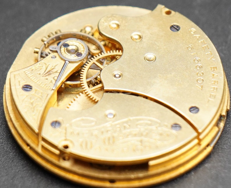 Puede incluir: Primer plano de un movimiento de reloj de bolsillo de oro con engranajes intrincados y una inscripci&oacute;n de barril de seguridad. La esfera del reloj est&aacute; grabada con un dise&ntilde;o floral.