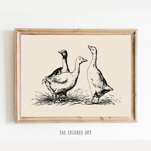 Duck Wall Art, Duck Vintage Print, Duck Drawing, Antique Vintage Painting, Farmhouse Print, Farmhouse Wall Decor, Rustic Farm Wall Art