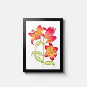 Heartstring Lilies Print