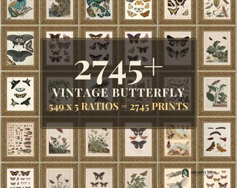 Vintage Schmetterlings-Wandbild-Set | 549 Schmetterlingsmotive, Insektenmotive, Naturgeschichte, Entomologie, Sofort-Download zum Ausdrucken