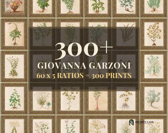 Cottagecore-Dekor | 60 Vintage-Drucke von Giovanna Garzoni, Wandbilder zum Ausdrucken, Sofort-Download