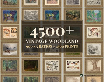 Vintage-Wald-Wandbild-Set | 900 Waldpilz-Motive, Hirsch-Cottagecore-Hüttendeko, Sofort-Download zum Ausdrucken