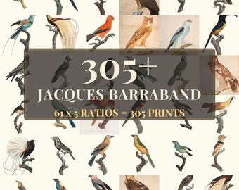 Natur-Wandkunst | 61 Vintage-Drucke von Jacques Barraband, druckbare Wandbilder, Sofort-Download