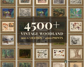 Vintage-Wald-Wandbild-Set | 900 Waldpilz-Motive, Hirsch-Cottagecore-Hüttendeko, Sofort-Download zum Ausdrucken