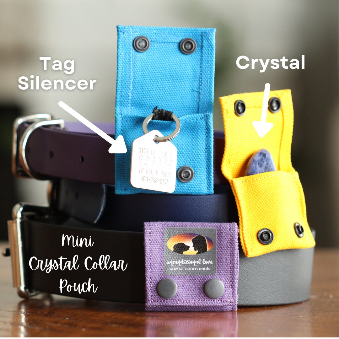 Dog hotsell collar silencer