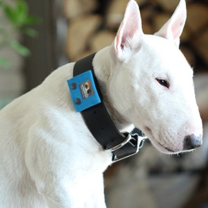 Dog Tag Bag with Dog Tag Silencer & Choice of Crystal - This Style: Mini; fits Beagles to Bull Mastiffs - Compact Collar Pouch