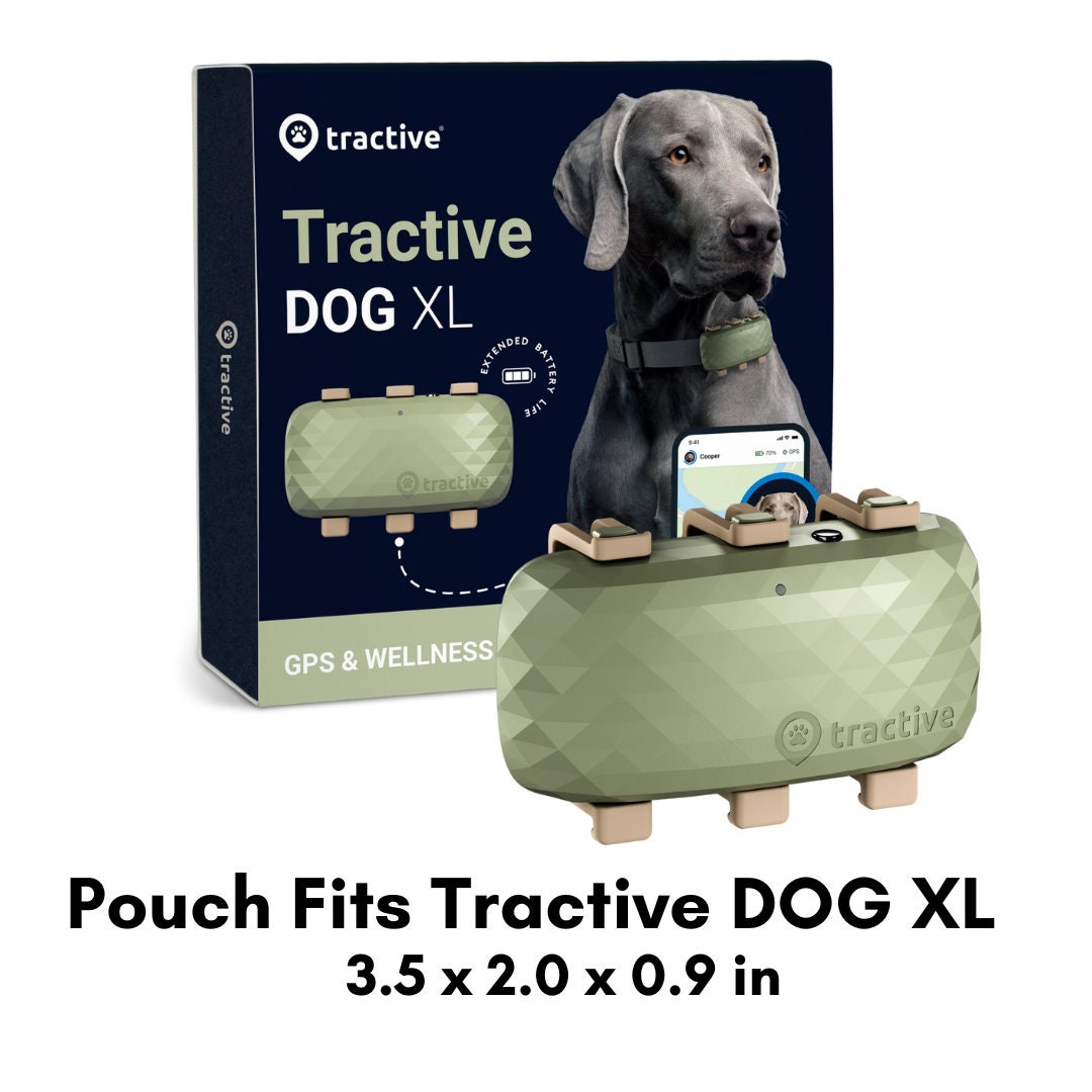Gps tractive dog sales