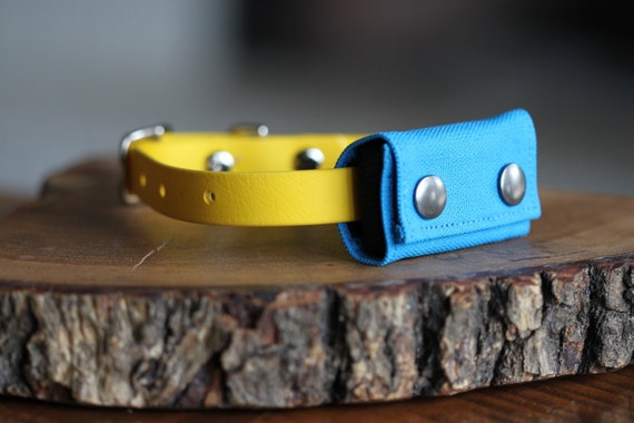 Fi collar for cats hotsell