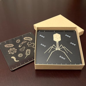 May include: Two black square coasters with gold illustrations. One coaster features a bacteriophage with a hexagonal head and six legs. The other coaster features various bacteria and viruses. Both coasters have a ruler printed on the edge.