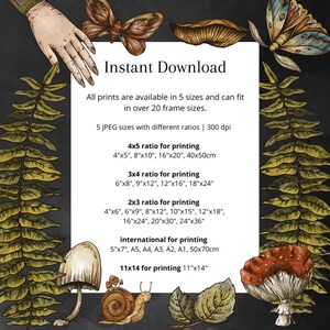 May include: A digital download graphic with text that reads "Instant Download" and lists different sizes and ratios for printing images. The text includes measurements in inches and centimeters.