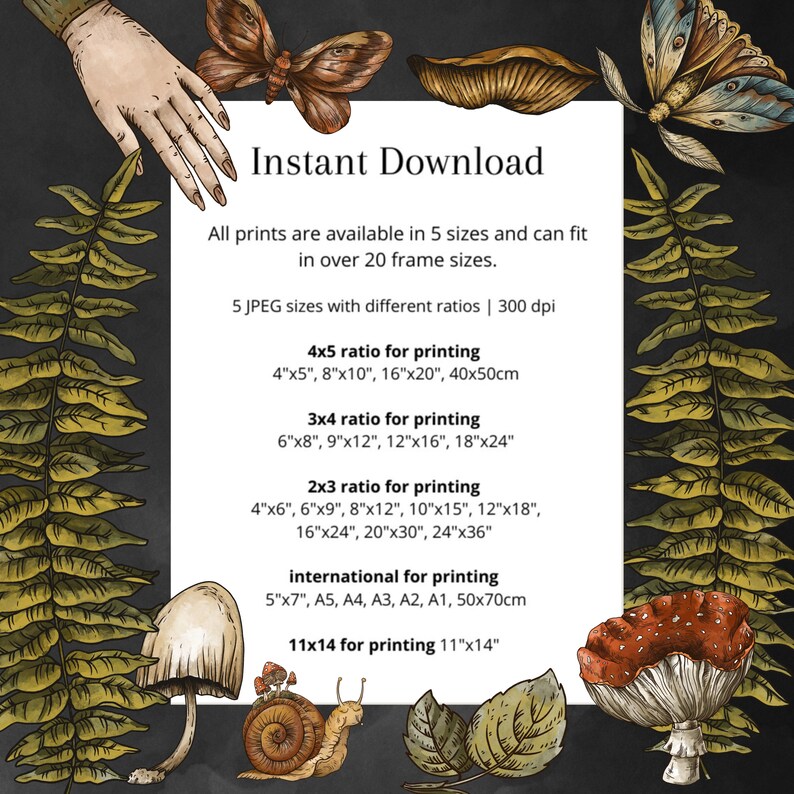 May include: A digital download graphic with text that reads "Instant Download" and lists different sizes and ratios for printing images. The text includes measurements in inches and centimeters.