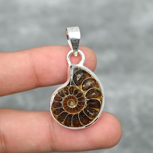 Ammonitfossilhänge 925 sterlingsilverhänge Ammonitfossil ädelstenhänge Handgjorda smycken Ammonitfossilsmycken Present till henne