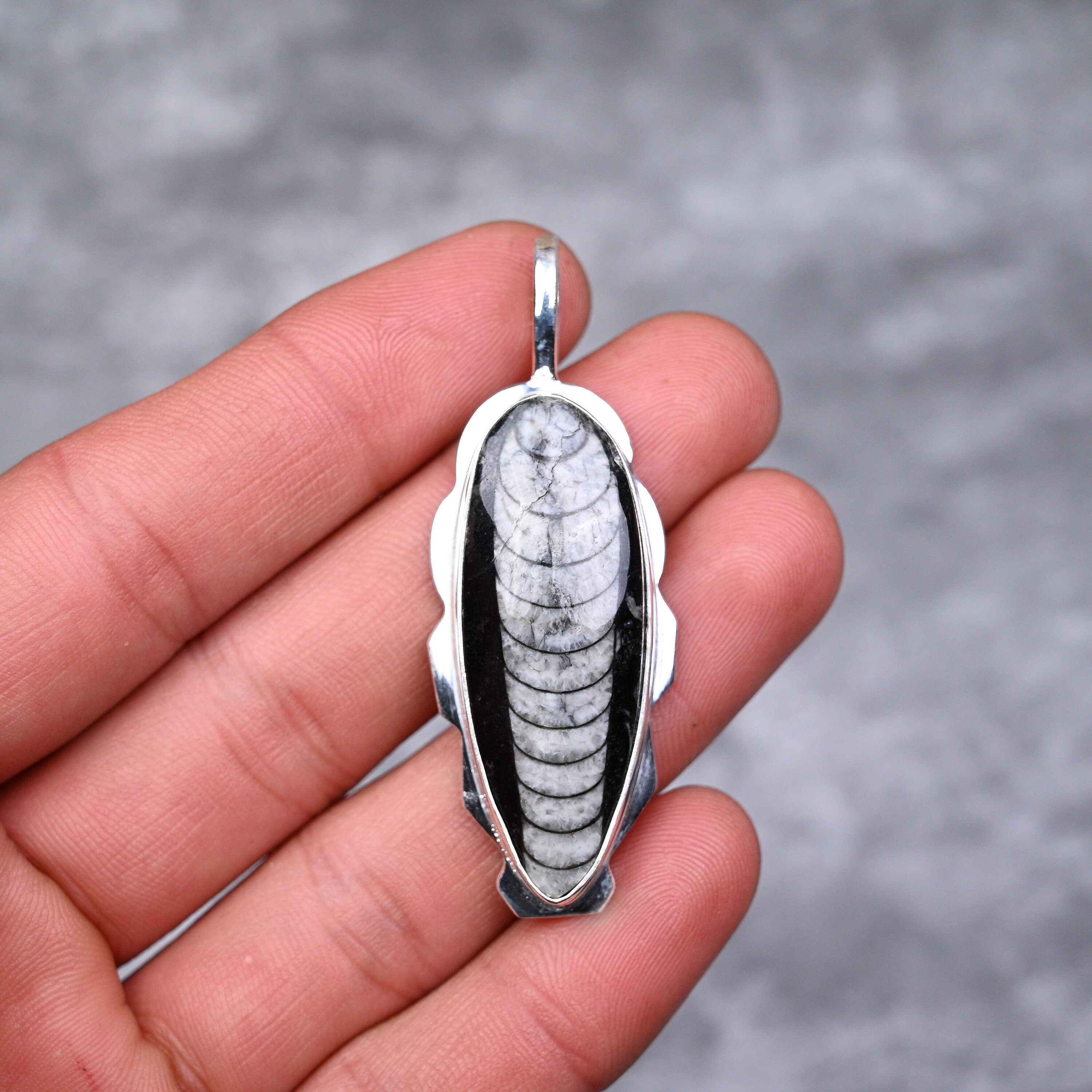 Fossil, Jewelry, Fossil Charm Necklace Charm Holder With Key Silver