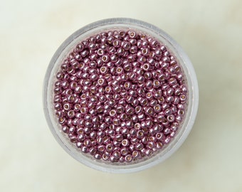Tibaoffy Viola Perline Dimensione 8/0 Perle di Vetro del Seme dei Mestieri 3 mm per la Fabbricazione dei Gioielli (Totale Circa 100g Circa 3600