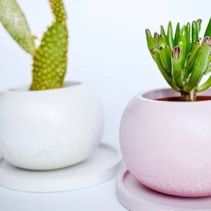 Small Concrete Planter With Saucer, Mini Plant Pot With Drainage Hole, Baby Cactus Pot, Colorful Indoor Flower Pot, Cute Plant Lover Gift