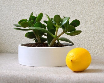 Round Concrete Shallow Planter, Low Wide Succulent Bowl, Small Fruit/ Candy Bowl, Bonsai Pot, Cactus Planter, Cement Plant Pot With Drainage