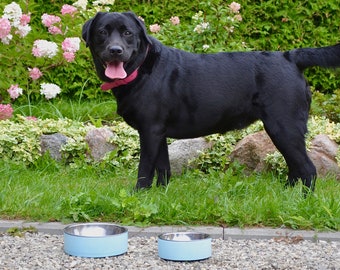 Ensemble de bols pour chiens en béton de deux, bols de nourriture pour animaux de compagnie en ciment avec bols intérieurs en acier inoxydable, plat pour chiens 2 tailles, disponible en plusieurs couleurs pastel