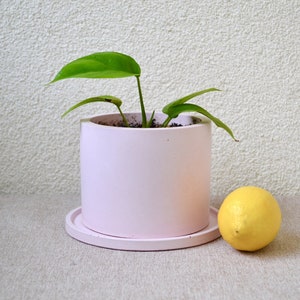 Concrete Planter With Drainage Hole, Plant Pot With Saucer, Round Cement Flower Pot With Drain, Indoor Planter Available in Many Colors