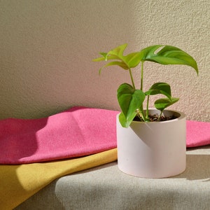 Concrete Planter With Drainage Hole, Plant Pot With Saucer, Round Cement Flower Pot With Drain, Indoor Planter Available in Many Colors