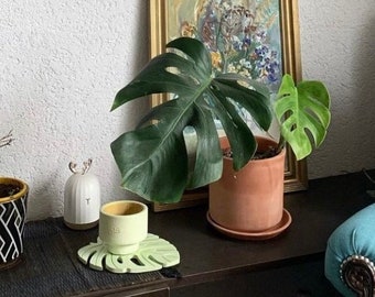 Concrete Monstera Leaf Coaster, Funky Decorative Candle Tray, Monstera Leaf Plate Decoration, Cute Flower Plate Available In Many Colors