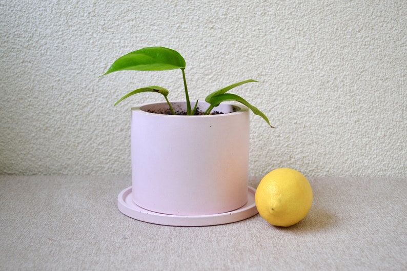 Concrete Planter With Drainage Hole, Plant Pot With Saucer, Round Cement Flower Pot With Drain, Indoor Planter Available in Many Colors