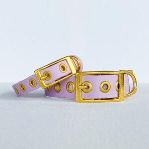 May include: Two lavender leather dog collars with gold metal hardware and grommets. The collars are stacked on top of each other.