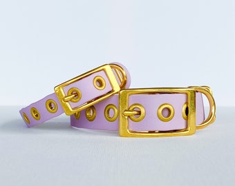 Collier imperméable à l’eau, Collier pour chien en biothane, Collier pour chien en or, Collier pour animaux de compagnie, Collier de luxe, Collier pour chien, Collier personnalisé, Lavande, Violet lilas