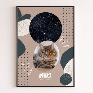 Mapa estelar memorial para animais de estimação de gato e presente com foto, lembrança de luto personalizada, céu personalizado por data, nome, imagem, lembre-se de animal de estimação amado