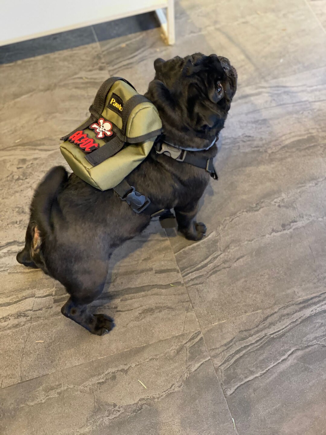 Dog Backpack Harness, Dog Harness, Custom Dog Harness By, Puppy Harness