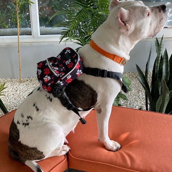 Buy dog backpack sale