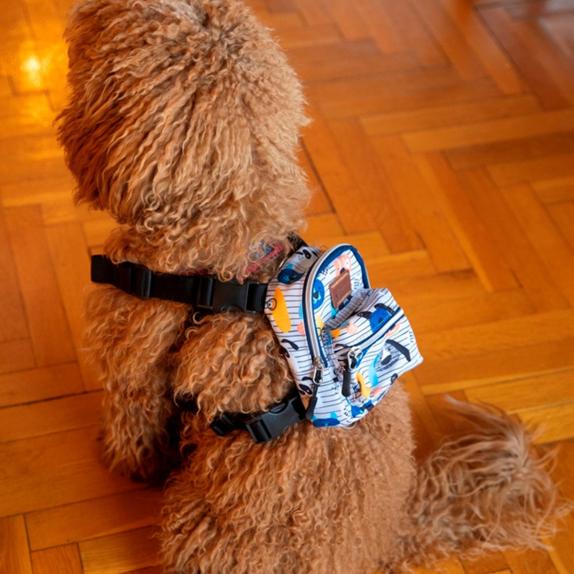 Dog Backpack Harness, Dog Harness, Custom Dog Harness By, Puppy Harness