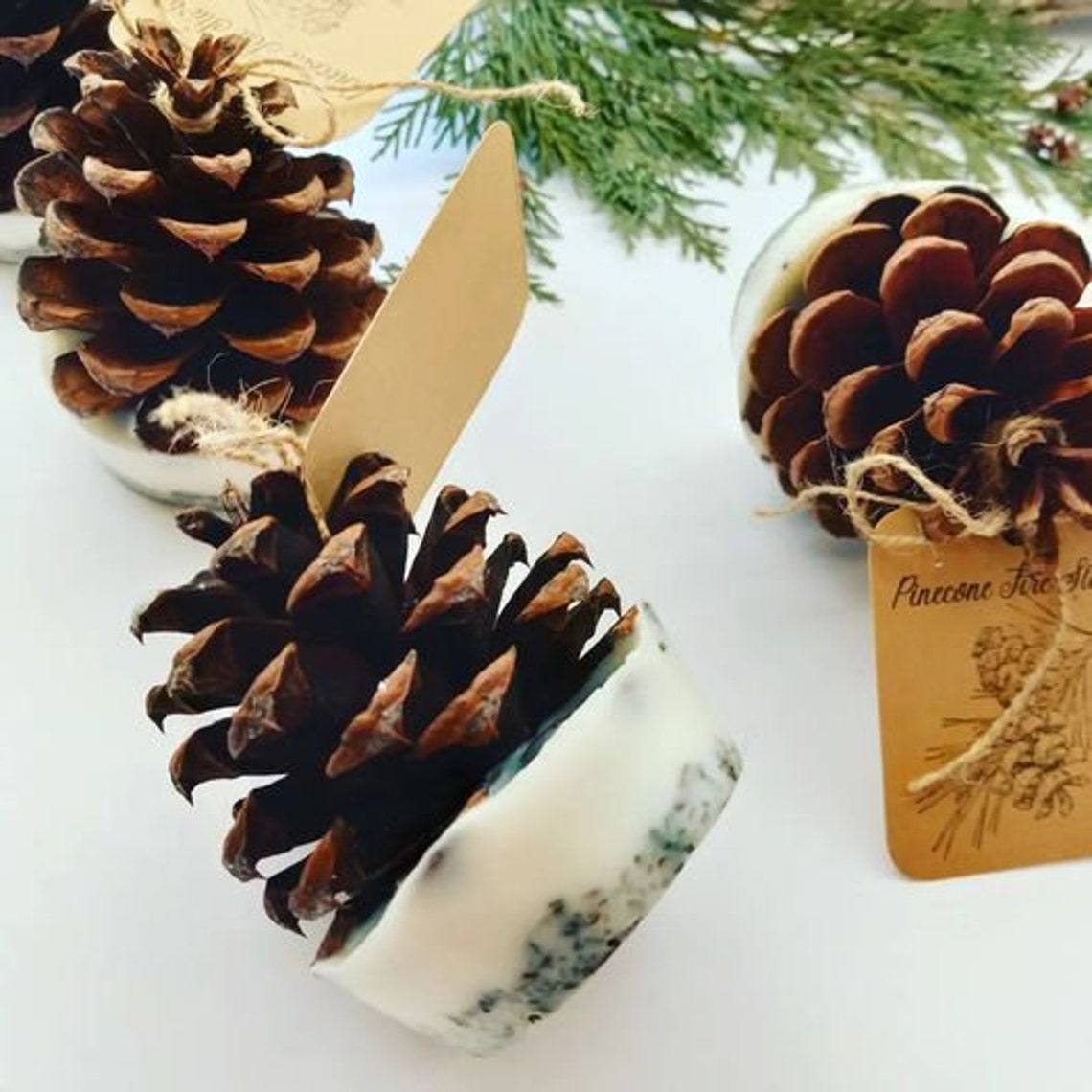 PRINTABLE pinecone Template 12 Per Gift Tags / Wrap Labels - Etsy Canada