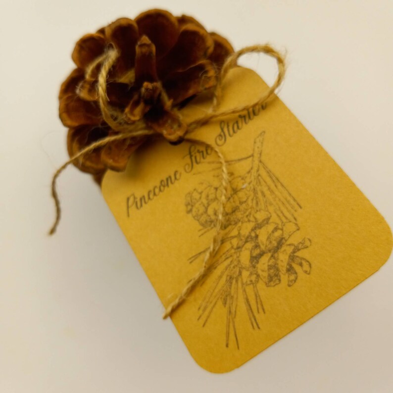 PRINTABLE pinecone Template 12 Per Gift Tags / Wrap Labels - Etsy Canada