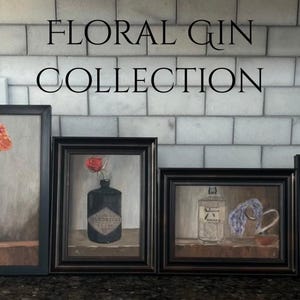 May include: A collection of four framed paintings featuring floral arrangements in gin bottles. The paintings are in black frames and are displayed against a white tile background. The text "FLORAL GIN COLLECTION" is at the top.