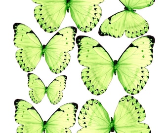 Spring Green Black Tip Edible Pre-Cut 3D Wafer Paper Butterflies - Multi-Sized Edible Butterflies for cake decoration