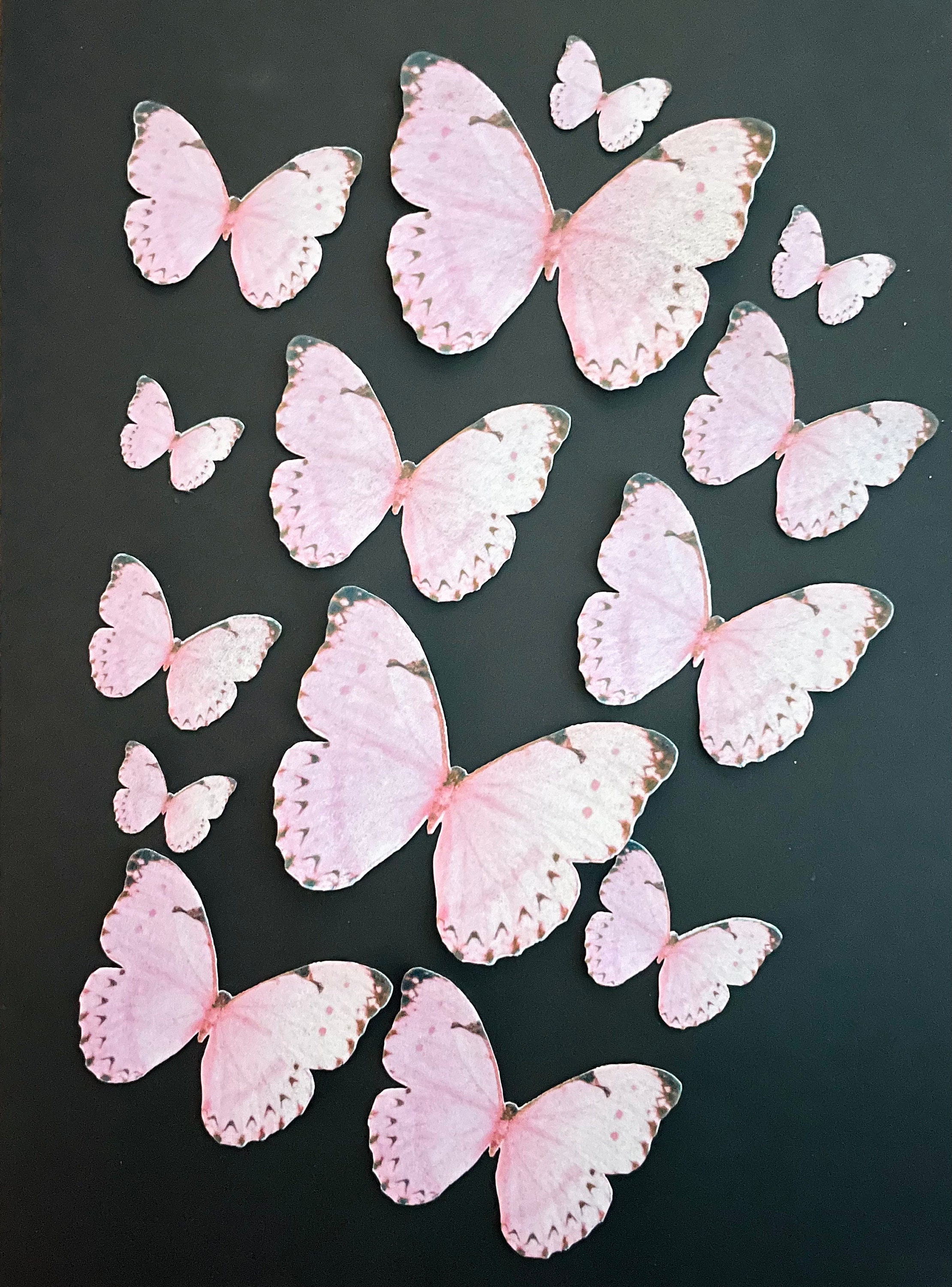 24 Beautiful 3D Pale Pink Edible Wafer Paper Butterfly Cake