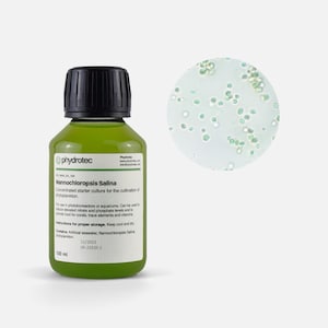 Nannochloropsis Salina - 200 ml phytoplankton, living culture, marine algae