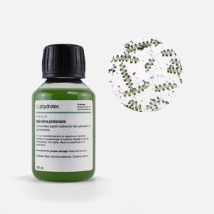 May include: A 100 ml bottle of green Spirulina platensis concentrated starter culture with a black cap and a white label featuring black text. Next to the bottle is a circular inset showing a microscopic view of green spiral-shaped bacteria.