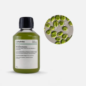 Tetraselmis Suecica - 200 ml de phytoplancton vivant, culture vivante, algues marines