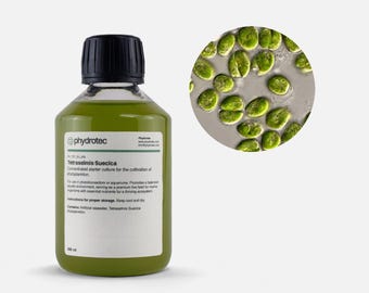 Tetraselmis Suecica - 200 ml live phytoplankton, living culture, marine algae