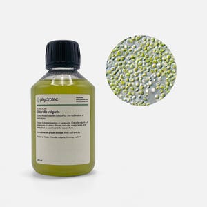 Chlorella – 200 ml Phytoplankton, Lebendkultur, Algen