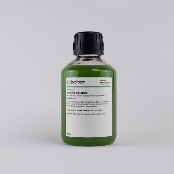 Spirulina -  200ml phytoplankton, living culture, cyanobacteria