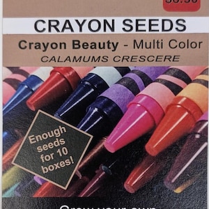 Sementes de giz de cera para fuzileiros navais e veteranos da Marinha - Humor colorido para homenagear seu serviço.