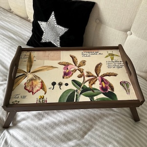 Könnte beinhalten: Ein braunes Tablett aus Holz mit klappbaren Beinen, das mit einem Blumendesign mit rosa und gelben Orchideen verziert ist. Das Tablett hat einen weißen Hintergrund mit botanischen Illustrationen und Text, der "Tab. VIII. Cubeba of Piper Cubeba Bot. Cubebe. Anagallis ar ruleo. ad Tab. Gauchhal mit zur 16. Tafel." lautet.