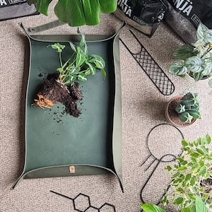 May include: A green tray with a plant and roots inside. The tray is made of a thick, durable material and has a raised lip to prevent spills. There are also several metal plant stands and a bag of soil in the image.