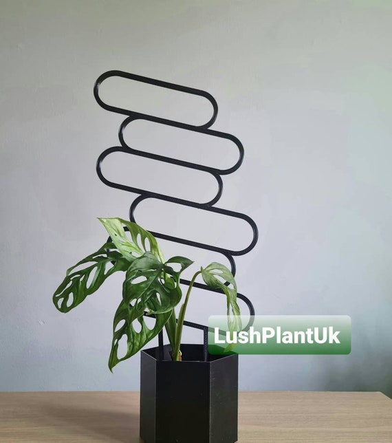 Geometric Plant Trellis | 43cm, 3D Printed Plant Support - Etsy
