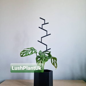 Plant Trellis | Plant Support | 3d Print | Eco-friendly | Plant Accessories | UK