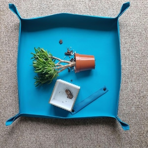 May include: A blue, foldable tray with a small potted succulent plant, a small white box, and brown soil scattered on the tray.
